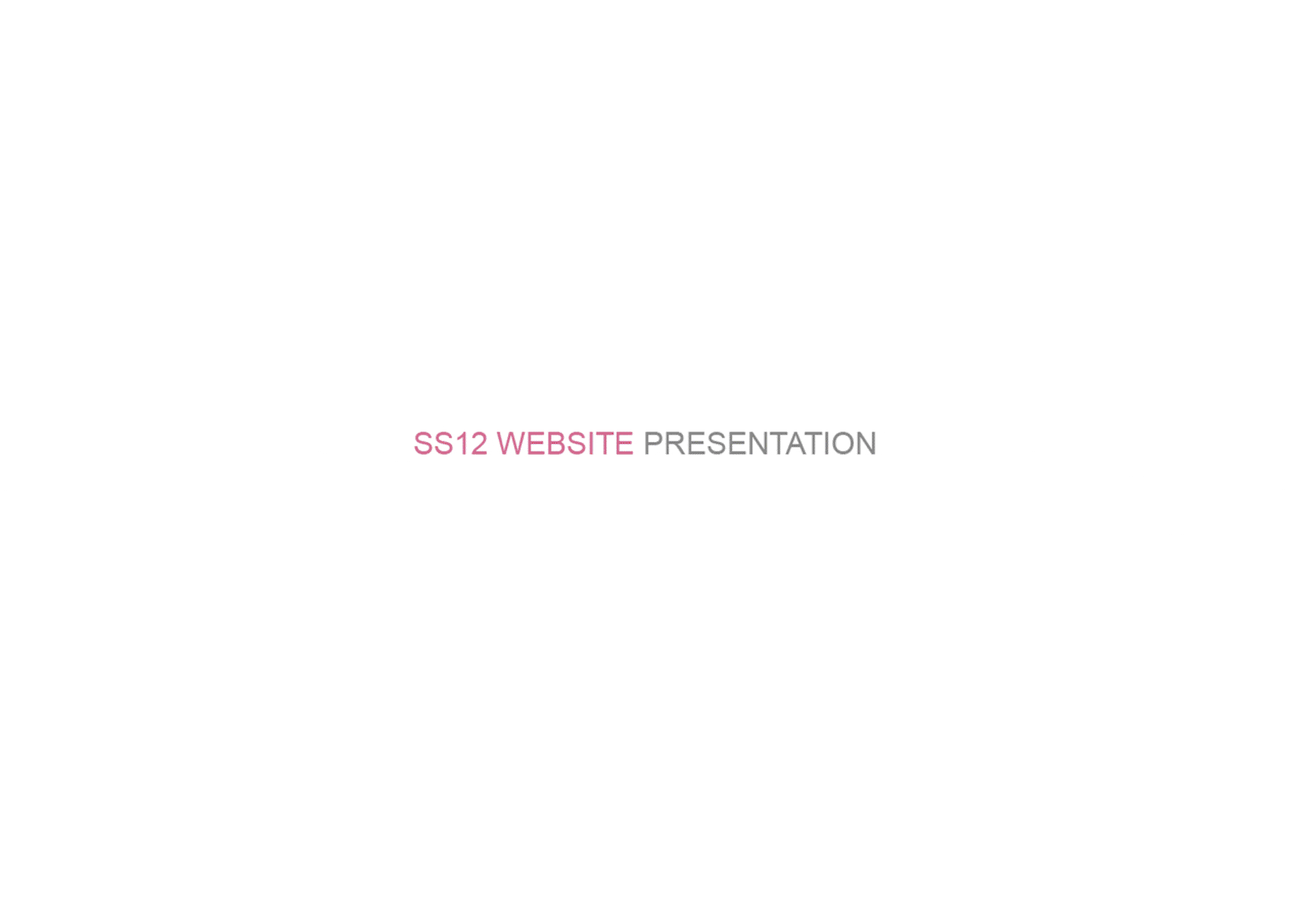 Website user experience flow presentation