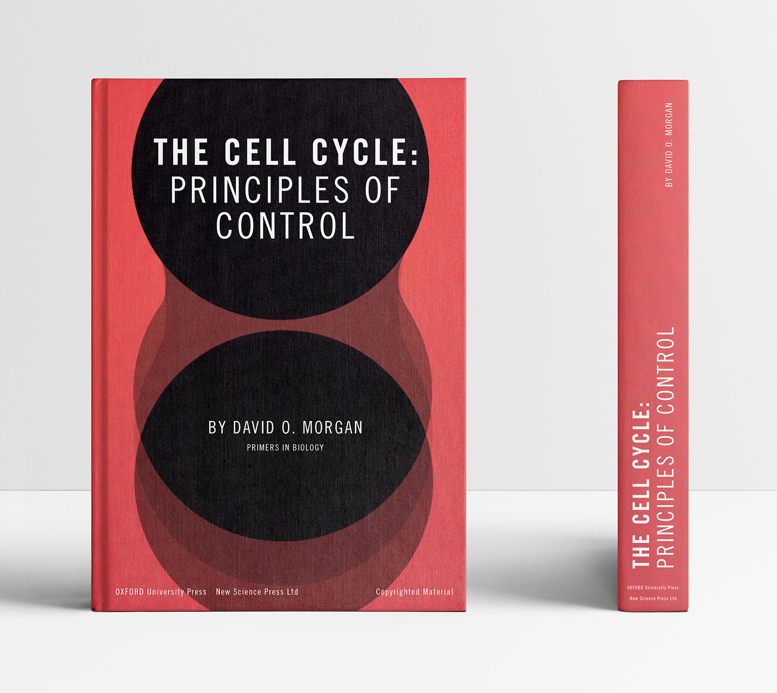 The Cell Cycle A visual experiment